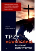Trzy nawrócenia Przełamać duchowy kryzys