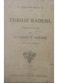 Zdroje Raduni. Przewodnik po tak zw. Szwajcaryi Kaszubskiej, 1913 r.