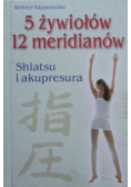 5 żywiołów 12 meridianów