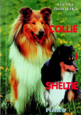 Collie i Sheltie