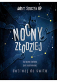 Nocny złodziej