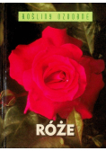 Róże