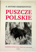Puszcze Polskie