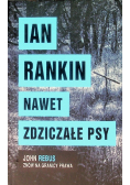 Nawet zdziczałe psy