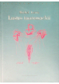 Lustro tauromachii
