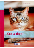 Kot w domu