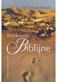Wędrówki biblijne