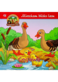 Mieszkam blisko lasu Gęgawa
