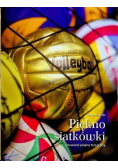 Piękno siatkówki