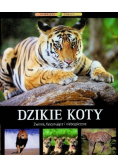 Dzikie koty. Zwinne, fascynujące i niebezpieczne