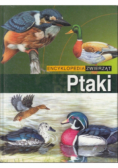 Encyklopedia Zwierząt Ptaki