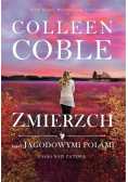 Zmierzch nad jagodowymi polami Tom 3 Nad zatoką