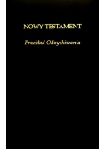 Nowy Testament. Przekład Odzyskiwania