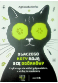 Dlaczego koty boją się ogórków?