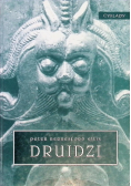 Druidzi