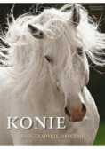 Konie Rasy tradycje  obyczaje