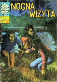 Nocna Wizyta
