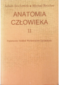 Anatomia człowieka Tom II