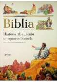 Biblia Historia zbawienia w opowiadaniach