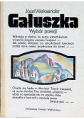 Gałuszka Wybór poezji