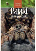Pająki i inne pajęczaki. Spotkania z przyrodą