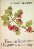 Rośliny lecznicze bogate w witaminy