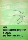 Gród Wczesnośredniowieczny w Lądzie nad Środkową Wartą