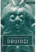 Druidzi