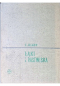 Łąki i pastwiska