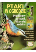 Ptaki w ogrodzie praktyczny poradnik dla całej rodziny