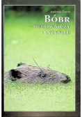 Bóbr -  budowniczy i inżynier