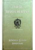 Obraz miasta Lublina