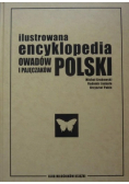 Ilustrowana encyklopedia owadów i pajęczaków Polski