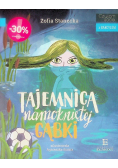 Tajemnica namokniętej gąbki