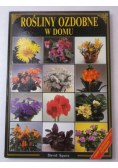 Rośliny ozdobne w domu