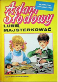 Lubię Majsterkować