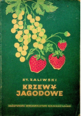 Krzewy jagodowe