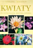 Kwiaty Ilustrowana encyklopedia