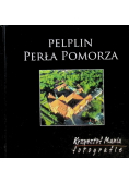 Pelplin perła pomorza