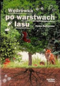 Wędrówka po warstwach lasu