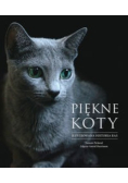 Piękne koty