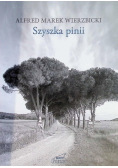 Szyszka pinii