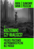 Niezłomni czy realiści? Polskie podziemie antykomunistyczne bez patosu