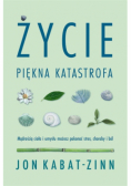 Życie, piękna katastrofa