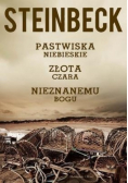 Pastwiska niebieskie Złota czara Nieznanemu bogu