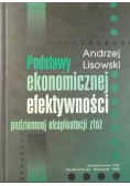 Podstawy ekonomicznej efektywności podziemnej