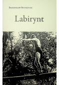 Labirynt