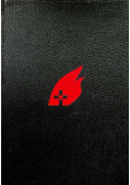 Zbrodnie hitlerowskie na wsi polskiej w latach 1939 -1945
