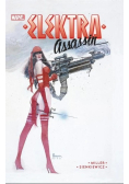 Elektra Assassin