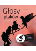 Głosy ptaków